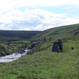 Grouse Shooting