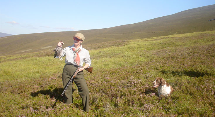 Walking-up Grouse